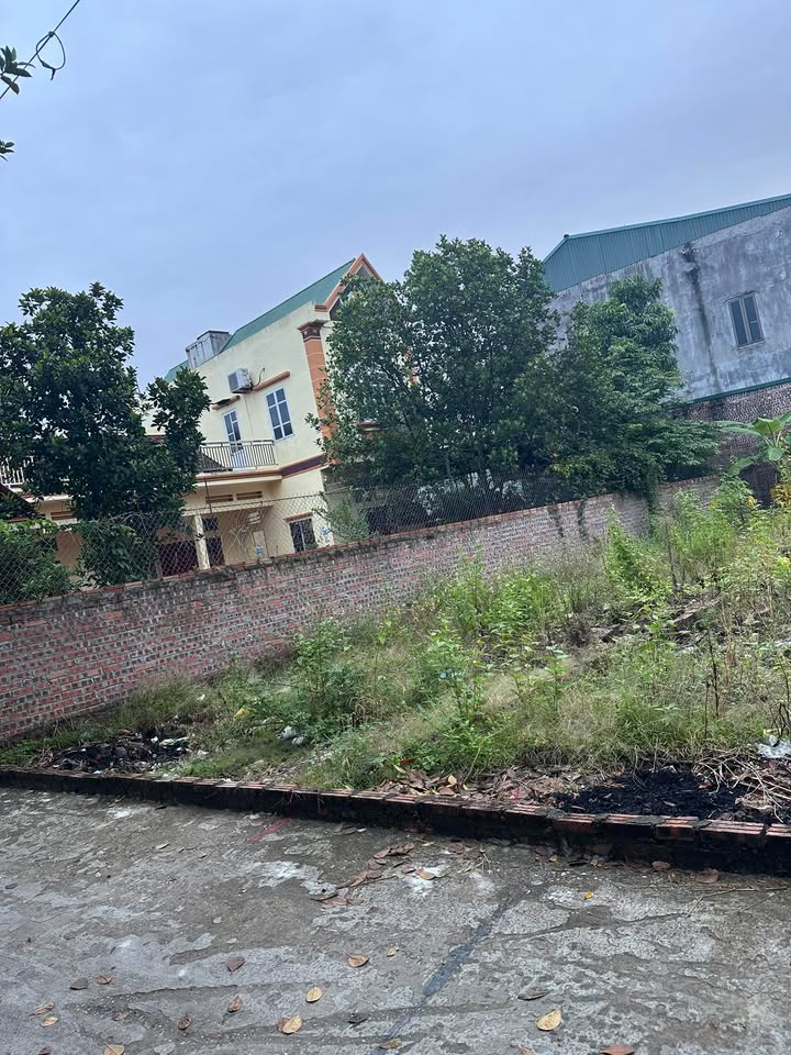 Đất nền Thôn An Bình, Cự Đạo, Bắc Ninh 75m² giá 1.9 tỷ - Đầu tư sinh lời ngay!