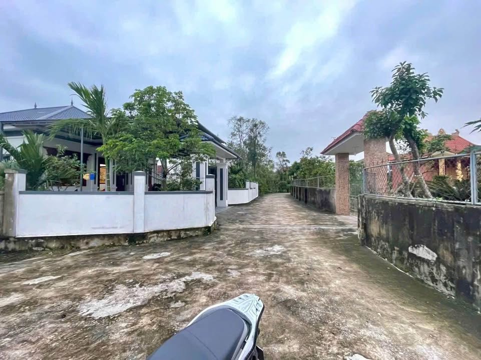 Đất Nghi Thái 81.8m² giá 990 triệu - Đường ô tô tránh nhau, gần trường học!