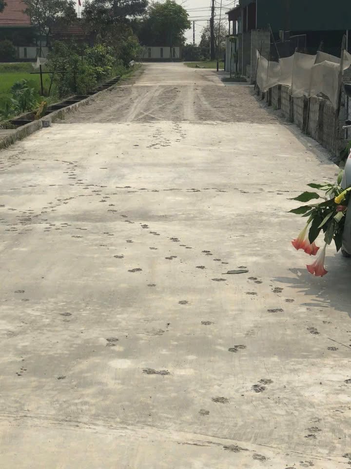 Đất nền Thạch Thắng, Kỳ Anh 186.7m² giá 1 tỷ - Mặt tiền đường rộng 6m!