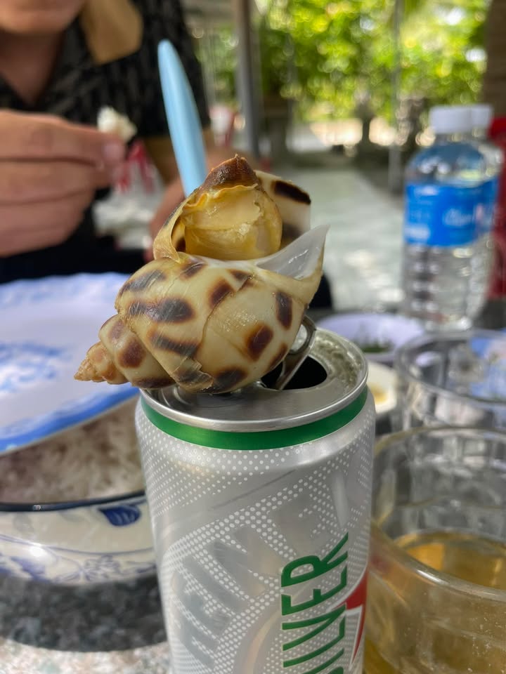 Đất An Hiệp 150m² - Gần Trường Học, Đường Ô Tô Thông Thoáng