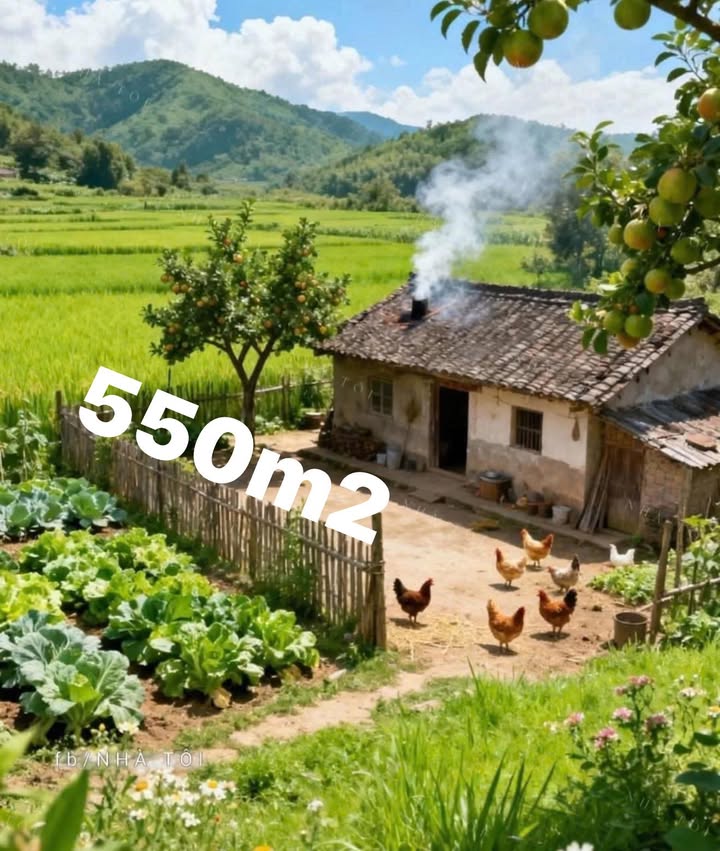 Đất thổ cư 550m² Phường Tùng Thiện giá 1 tỷ - Sổ đỏ chính chủ, vị trí đẹp!