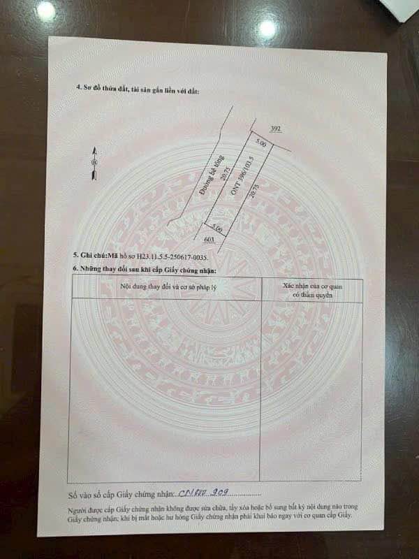 Đất nền Đoàn Thượng, Gia Lộc, Hải Dương 100m² - Tặng nhà mới xây dựng!