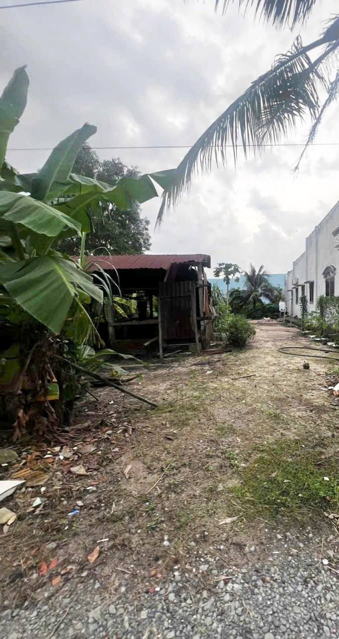 Đất nền Tân Phú, Đức Hòa 2028m² giá 1.5 tỷ - Sổ đỏ chính chủ, đầu tư sinh lời!