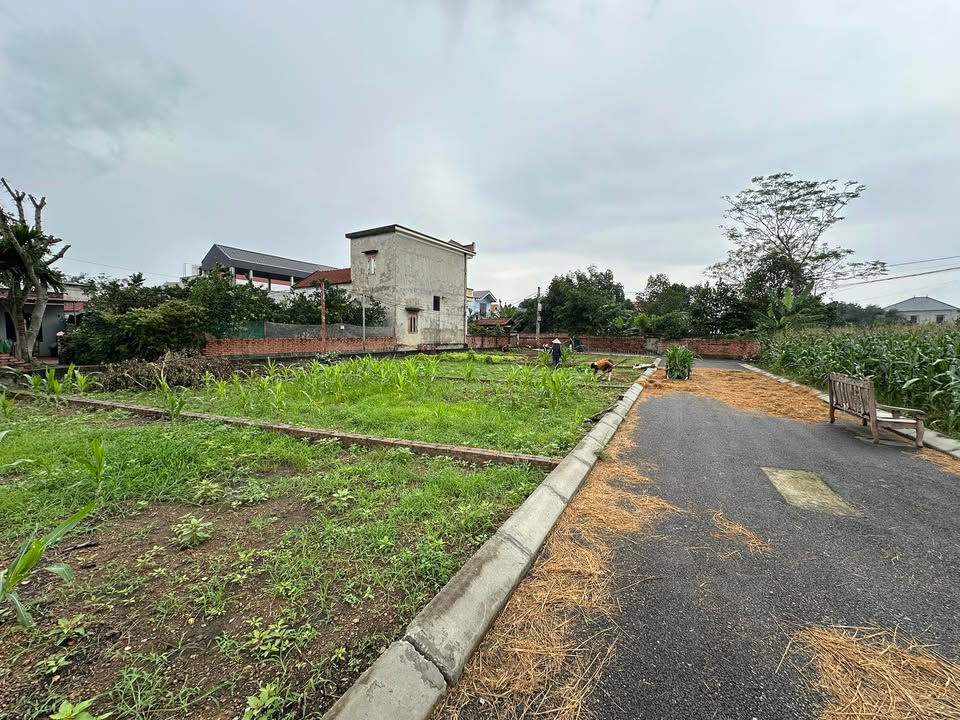 Đất nền 103m² Thôn 5, Phú Cát, Quốc Oai - Giá chỉ 3.6 tỷ, đường thông ô tô!