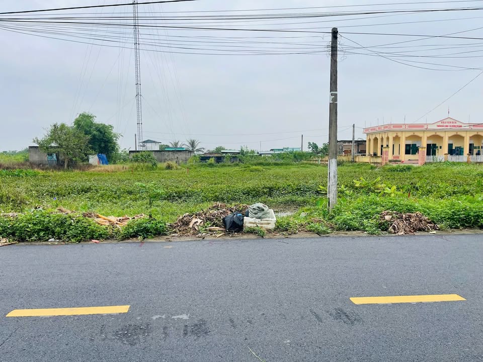 Đất nền Đông Hoàng - Tiền Hải 100m² giá 1.5 tỷ - Đầu tư sinh lời tuyệt vời!