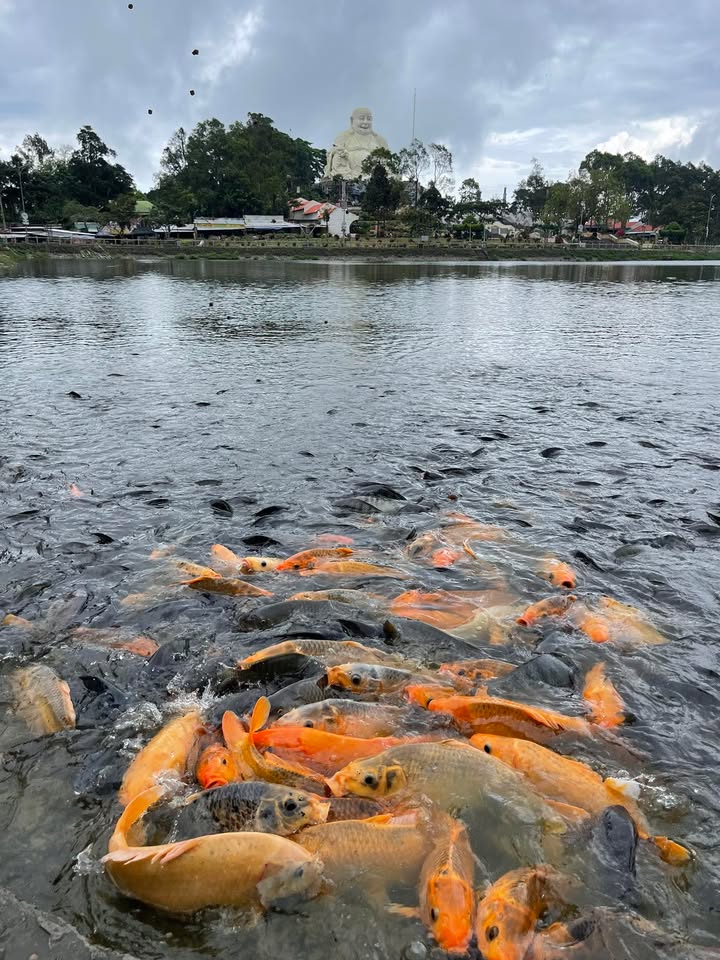 Đất thổ cư Mỹ Phú Thủ Thừa 140m² giá 400 triệu - Cơ hội đầu tư hiếm có!