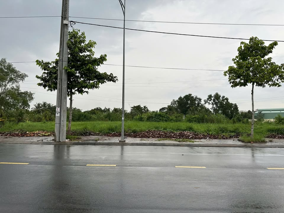 Đất thổ cư 2137m² đường Mậu Thân 2, phường Phước Hậu - Cơ hội đầu tư hấp dẫn!