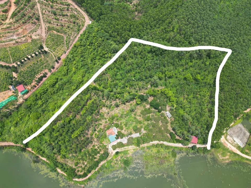 Đất farm 18.523m² tại Hồ Cây Đa, Tam Dị, Bắc Giang - Tiềm năng nghỉ dưỡng lớn!