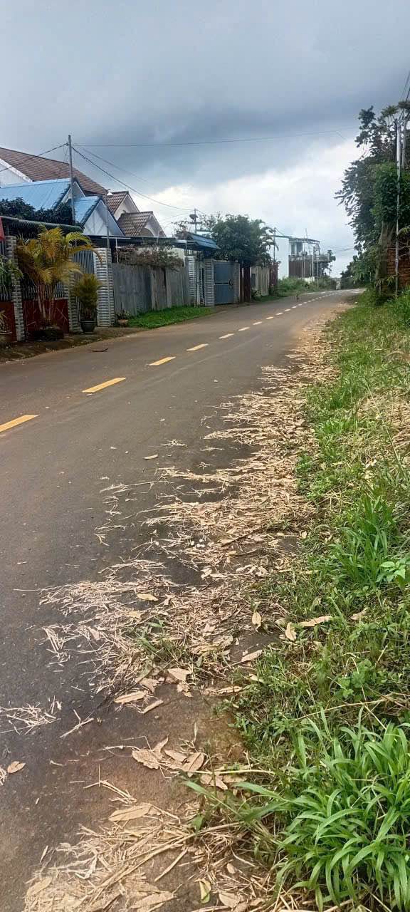 Đất nền thổ cư hẻm Nguyễn Trãi P2 Bảo Lộc 105m² giá chỉ 1.3 tỷ - Cơ hội vàng đầu tư!