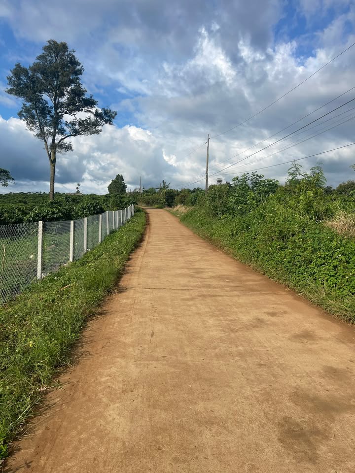 Đất nền thôn 5, xã Phúc Thọ, huyện Lâm Hà 3240m² - Giá chỉ 450 triệu!