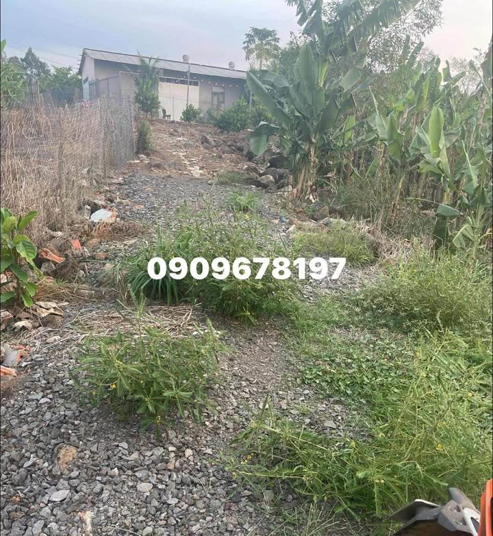 Đất nền 1000m² xã Gia Kiệm, Đồng Nai - Giá 800 triệu, thương lượng