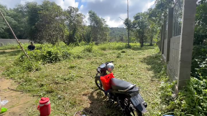 Đất ở Trần Hưng Đạo, Phú Quốc 1500m² giá thỏa thuận - Cơ hội đầu tư sinh lời!