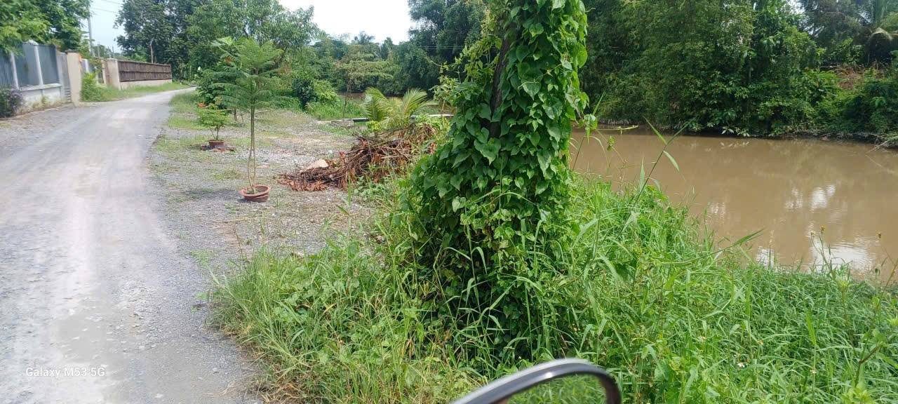 Đất nền An Sơn, Thuận An 1259m² chỉ 8.4 tỷ - Đầu tư sinh lời hấp dẫn!