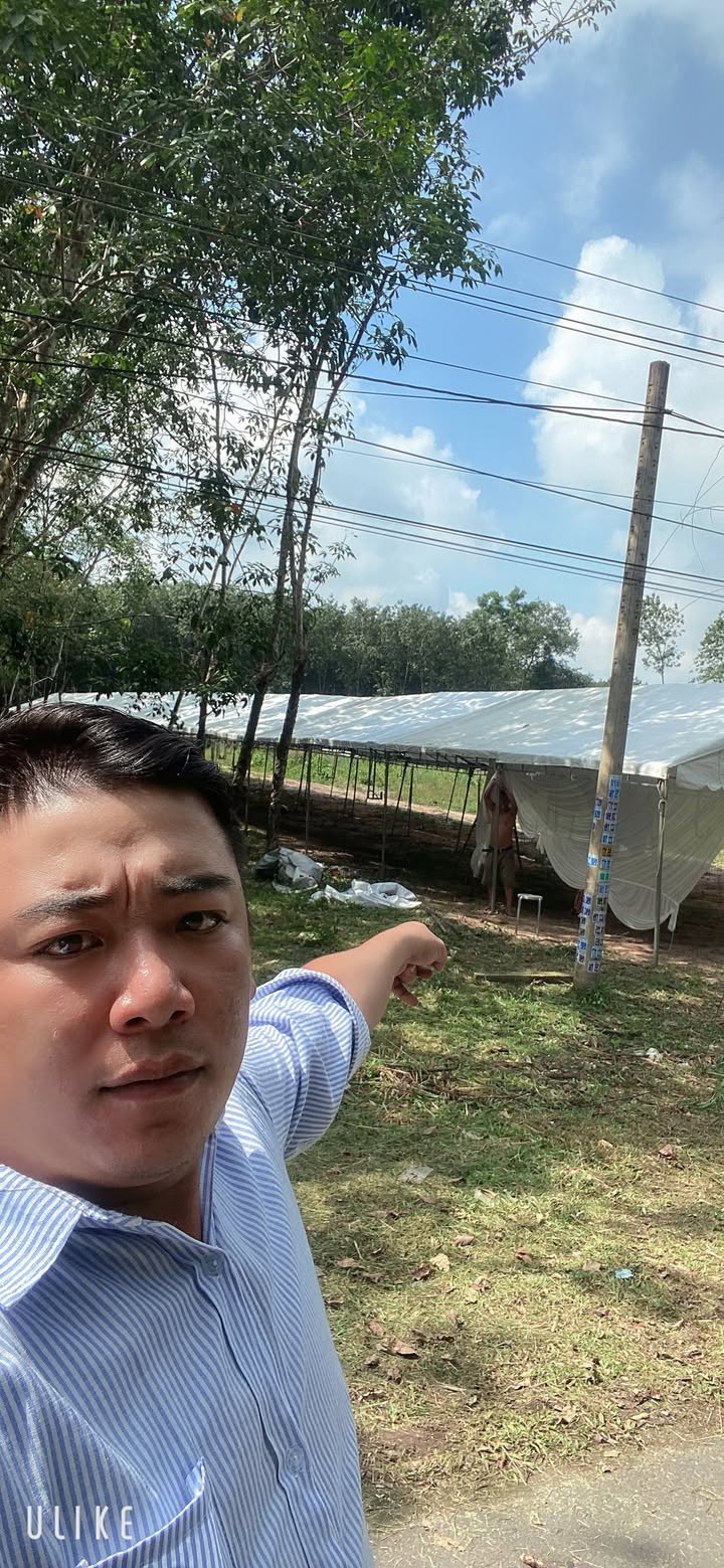 Đất nền xây xưởng Long Hòa, Dầu Tiếng 4600m² - Giá chỉ 6.5 tỷ!