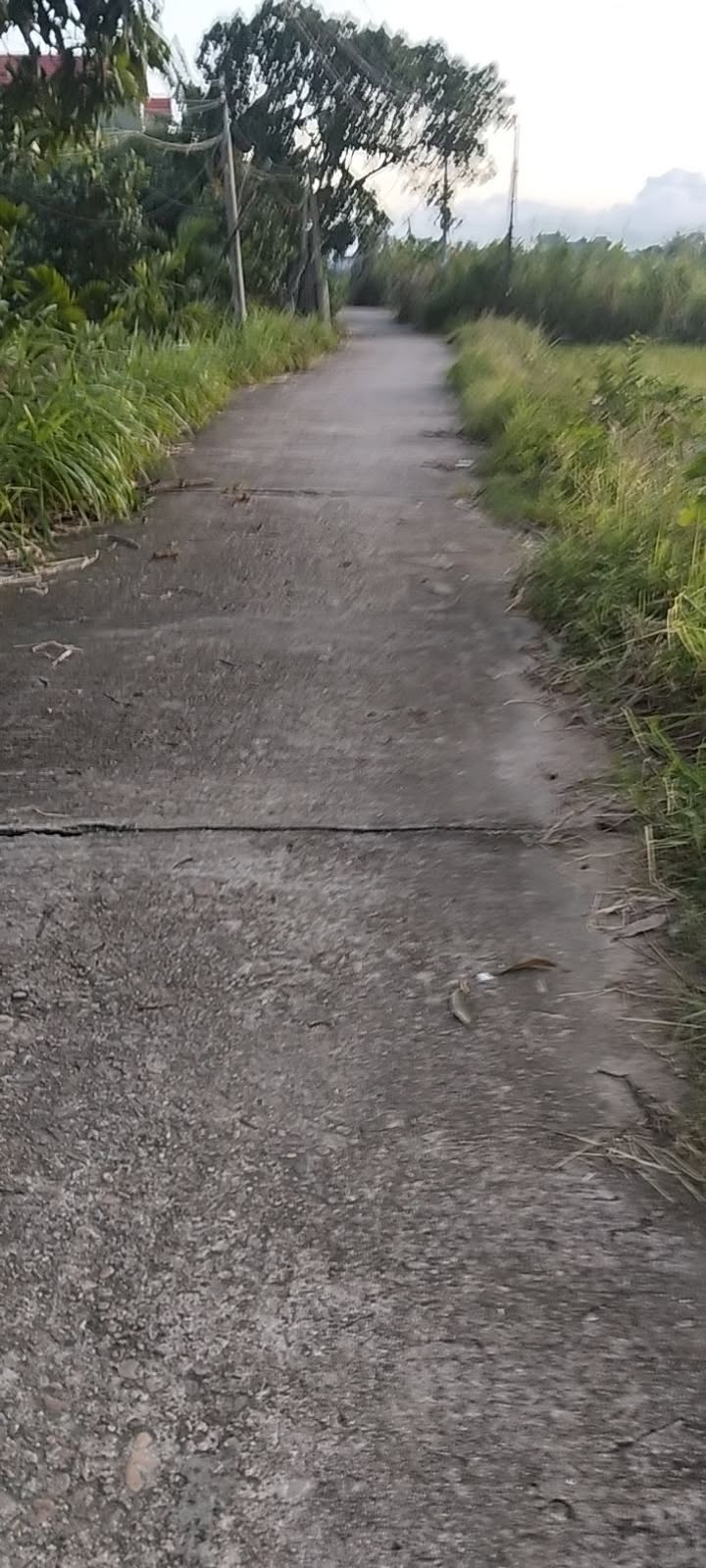 Đất chính chủ Nghĩa Dõng, Quảng Ngãi 125m² - Giá chỉ 5xx triệu!