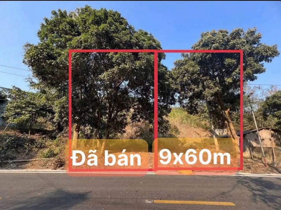 Đất thổ cư 100m² tại Quốc lộ 70, Xuân Quang - Giá chỉ 455 triệu!