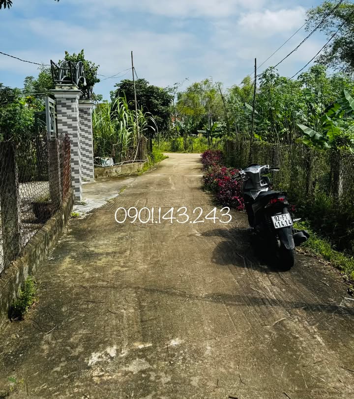 Đất nền khu phố 4 Trường Xuân - Tam Kỳ 200m² chỉ 800 triệu - Cơ hội đầu tư tuyệt vời!