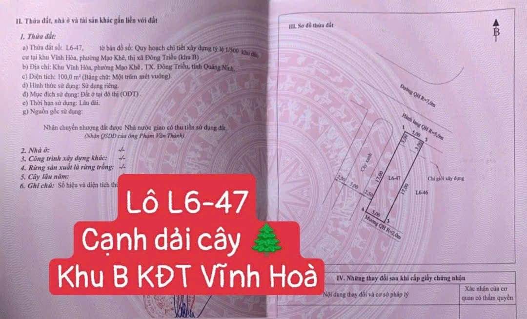 Đất nền KĐT Vĩnh Hòa, Mạo Khê 100m² chỉ 1.9 tỷ - Cắt lỗ sâu hơn 300 triệu!