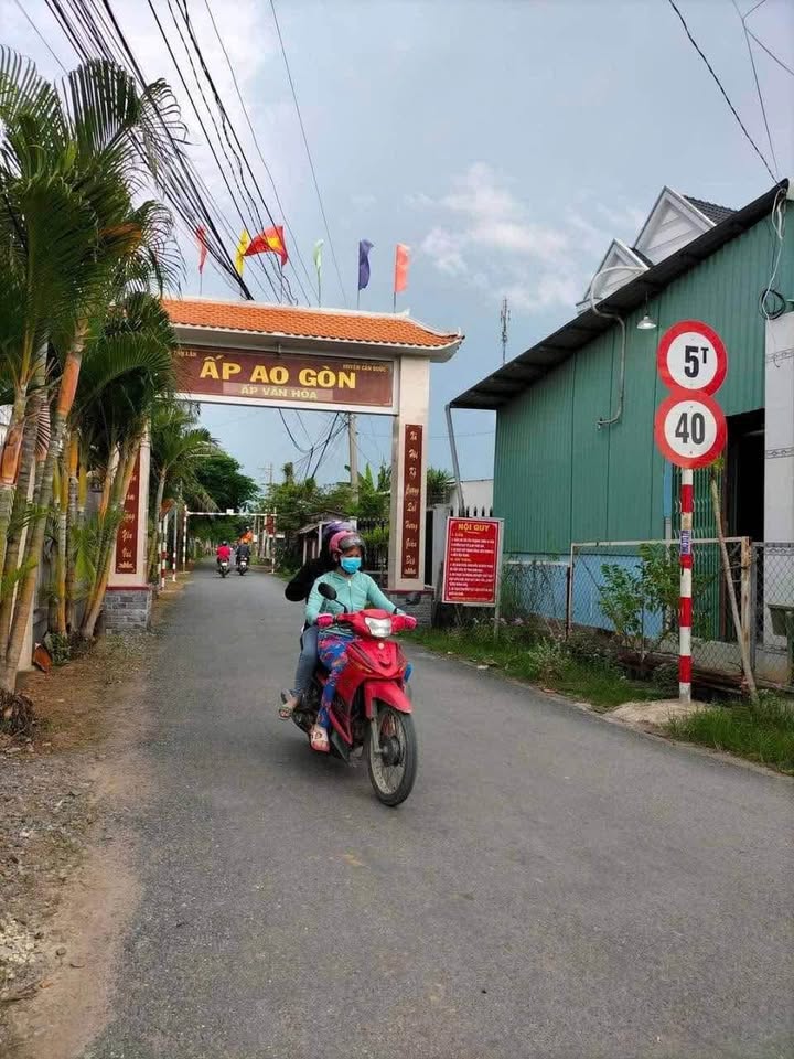 Đất lúa 1000m² tại Tân Lân, Cần Đước - Giá chỉ 2.2 tỷ - Mặt tiền kênh mát mẻ!