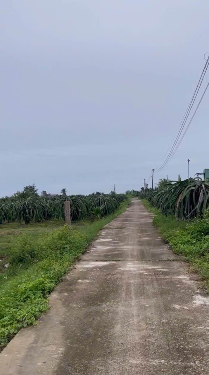 Đất thổ cư 1 sào thôn 5 Hàm Liêm giá 470 triệu - Đầu tư sinh lời ngay!