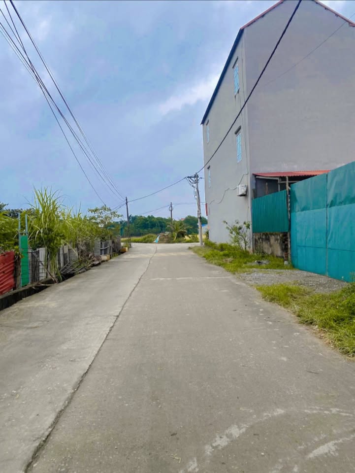 Đất nền Tam Đa, Yên Phong, Bắc Ninh 104m² giá 2 tỷ - Bán gấp lô đất xinh xắn!