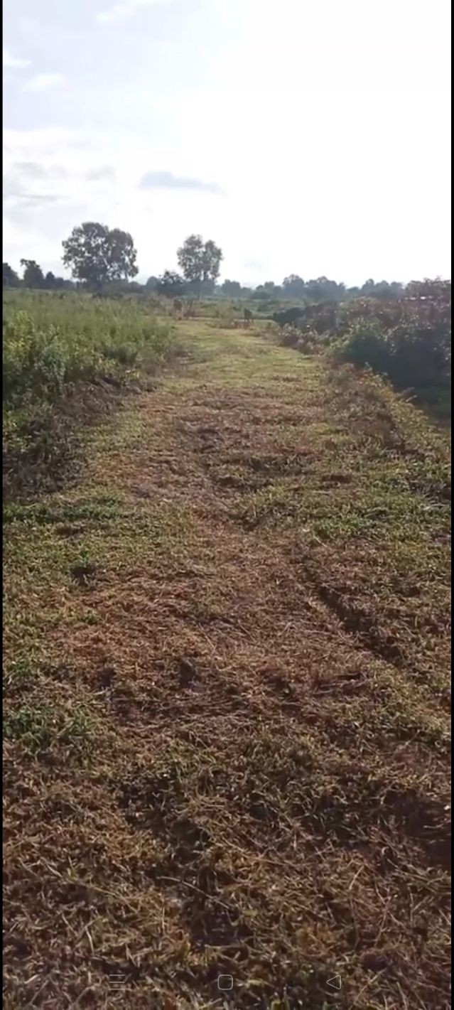 Đất nông nghiệp 1ha tại thôn Liêm An, 770 triệu - Cơ hội đầu tư tốt!