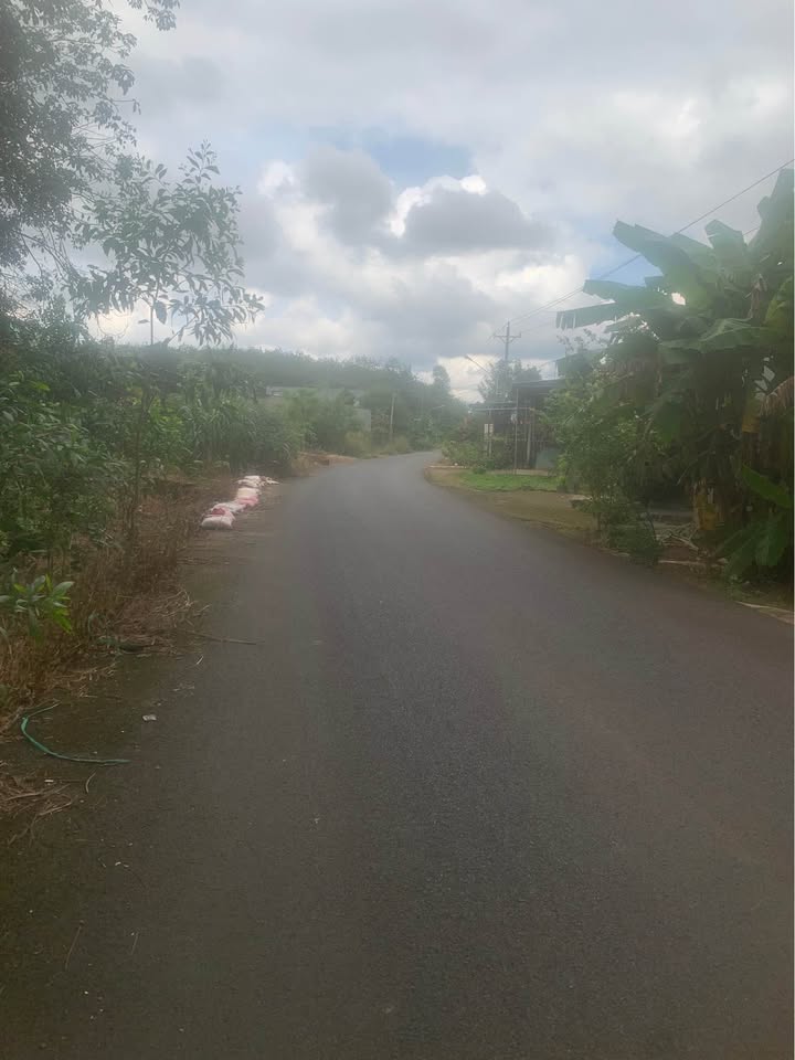 Đất nền Tiến Hưng 1200m² - Mặt tiền đường nhựa, giá tốt nhất khu vực!