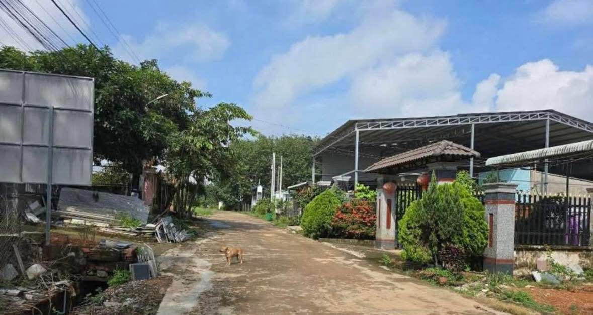 Đất nền Tân Xuân - 195m² giá 700 triệu - Đầu tư sinh lời ngay!