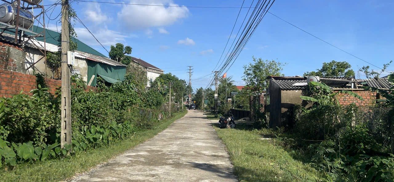 Đất nền Cẩm Hưng 20.35m² giá 1.35 tỷ - Cách QL 1A chỉ 100m!