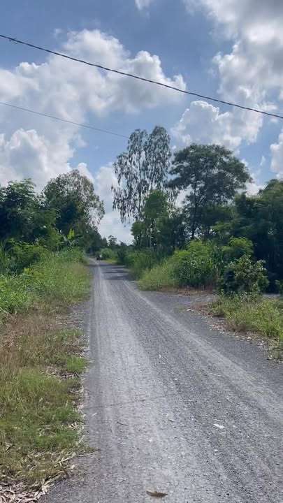 Đất nền Gò Công Tây 146m² giá chỉ 295 triệu - Cơ hội đầu tư tuyệt vời!