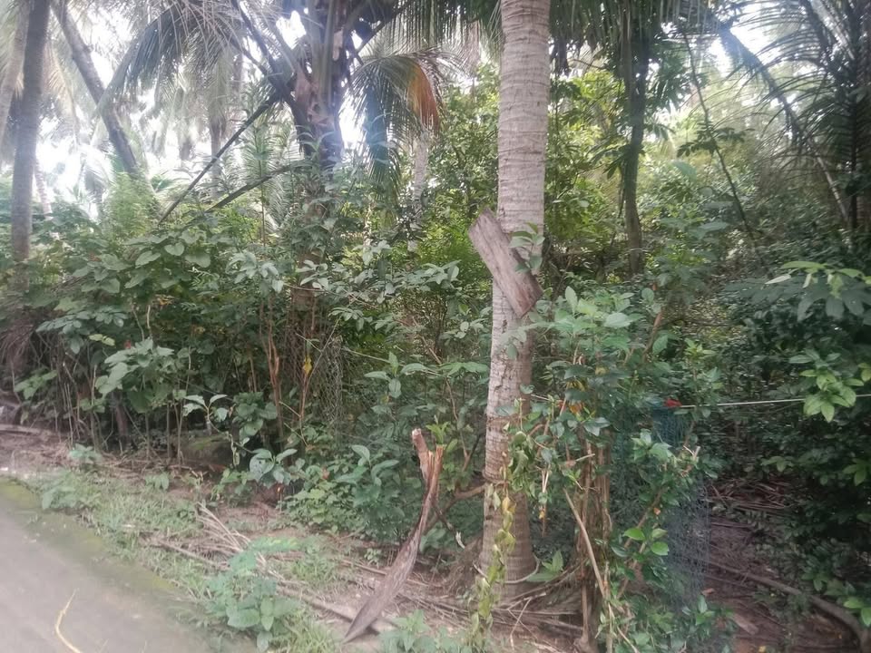 Đất nền Lộc Thuận, Bình Đại 640m² giá 900 triệu - Cơ hội đầu tư tuyệt vời!