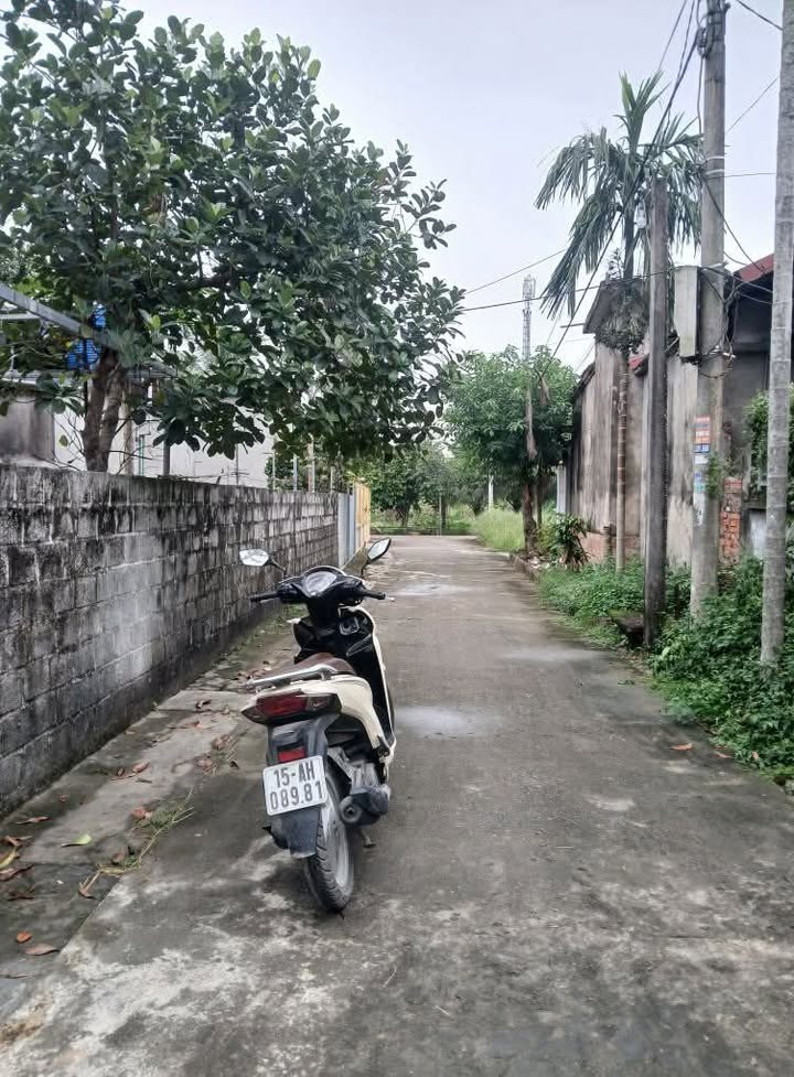 Đất nền Kiến Thiết, Tiên Lãng 115m² - Gần trường, chợ tiện lợi!