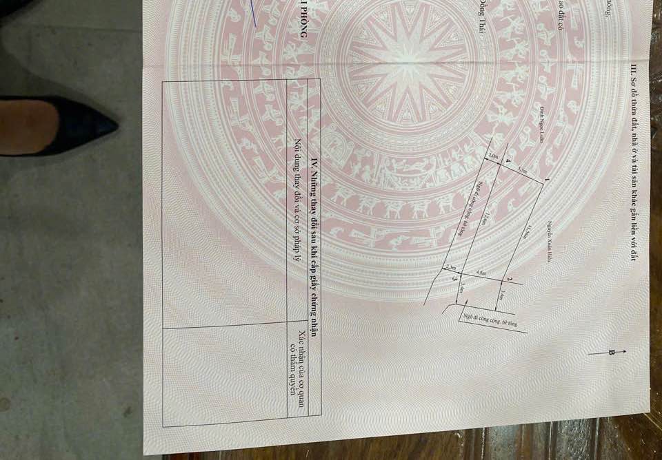 Đất nền lô góc 61,7m² Bạch Mai, Đồng Thái chỉ 1.1 tỷ - Cơ hội đầu tư tuyệt vời!