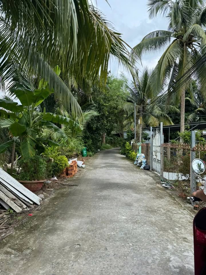 Đất nền An Bình, Ninh Kiều, Cần Thơ 92m² giá 600 triệu - Cơ hội đầu tư lý tưởng!