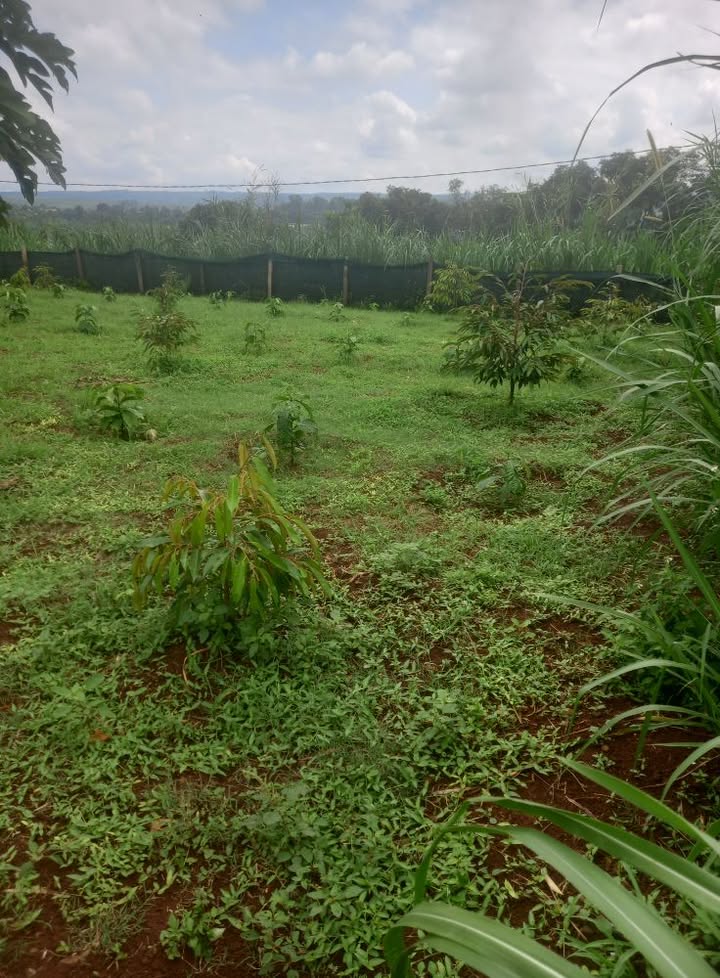 Đất nền xã Cư M'gar, Đắk Lắk 700m² giá 1.4 tỷ - Đầu tư sinh lời tuyệt vời!