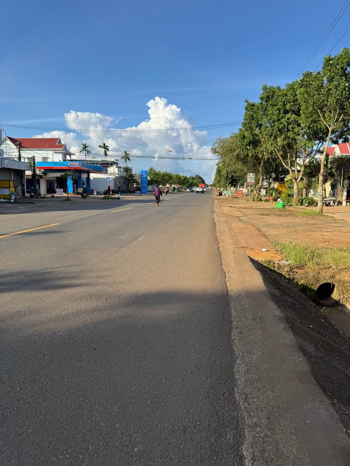 Đất nền mặt tiền Quốc lộ 14, phường Thiện An, 500m² chỉ 8 tỷ - Cơ hội đầu tư hấp dẫn!