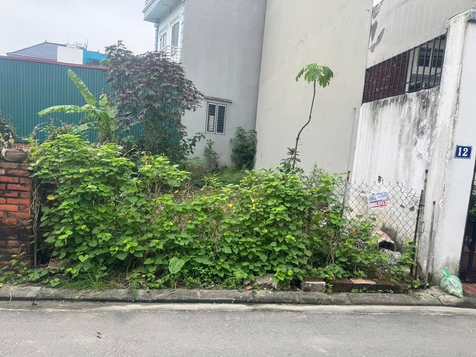 Đất Đa Tốn, Gia Lâm 60m² giá 6 tỷ - Đầu tư sinh lời lý tưởng!