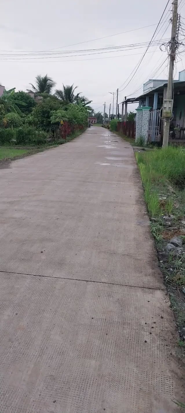 Đất lúa 780m² xã Tân Trạch, giá chỉ 450 triệu - Đầu tư sinh lời hấp dẫn!