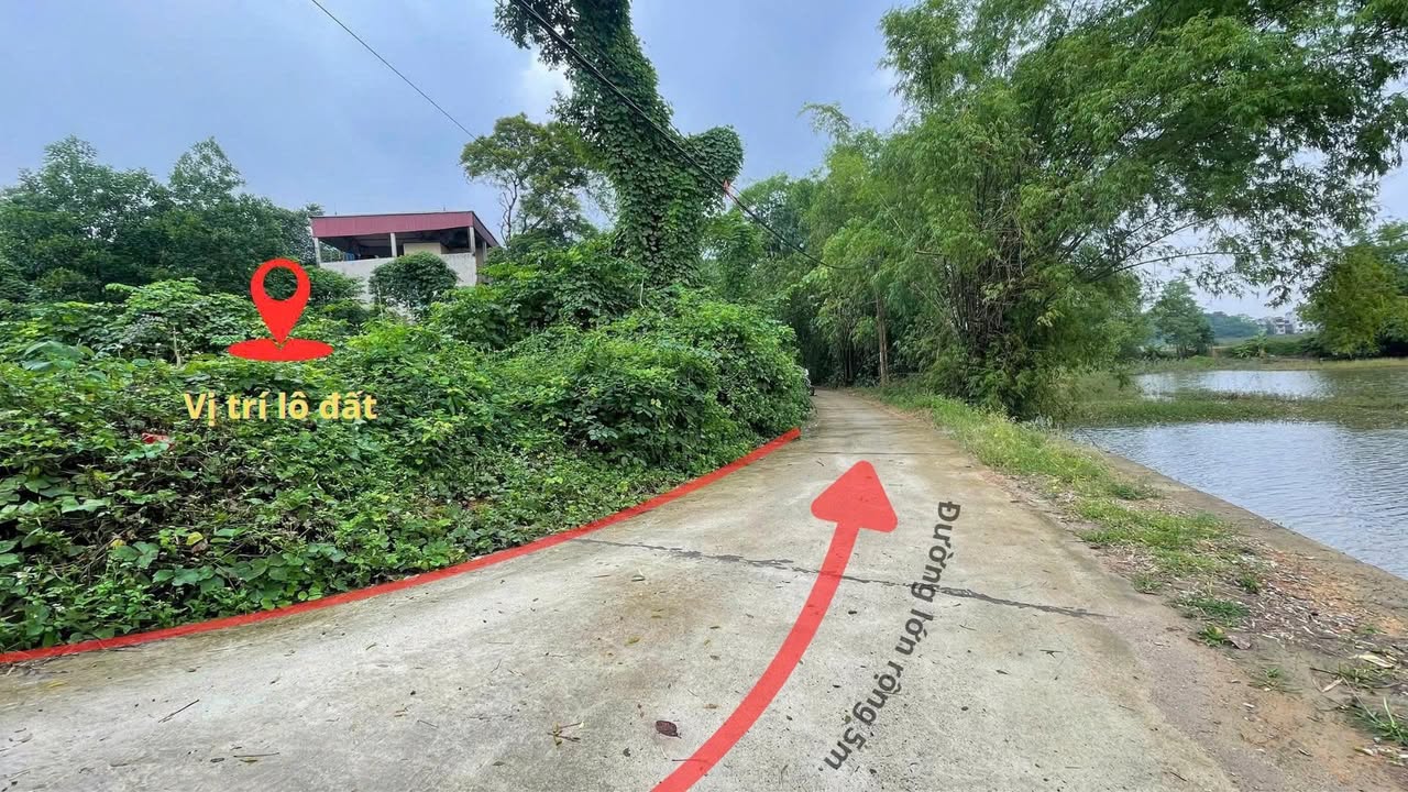 Đất thổ cư Hạ Bằng, Thạch Thất 1435m² - Chính chủ bán giá hợp lý!