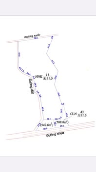 Đất Farm Tân Đức Hàm Tân 8200m² giá 1.3 tỷ - Cơ hội đầu tư tuyệt vời!