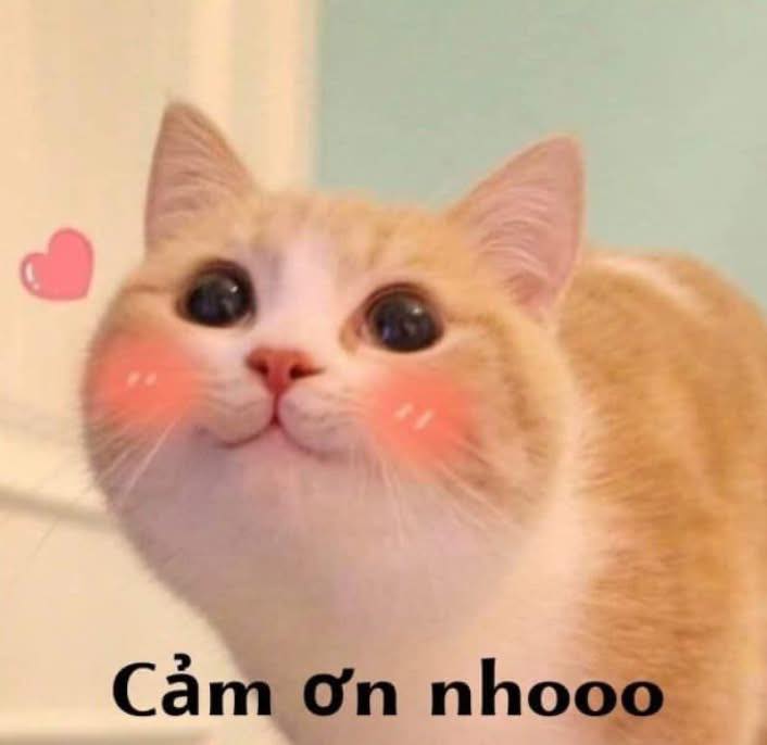 Đất nền mặt tiền đường N10, Tân An, Buôn Ma Thuột 210m² giá 1.6 tỷ - Cơ hội đầu tư hấp dẫn!