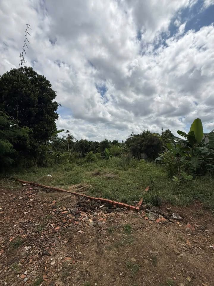 Đất nền Tân Lập, Buôn Ma Thuột 115m² giá 750 triệu - Sổ đỏ chính chủ, an ninh tốt!