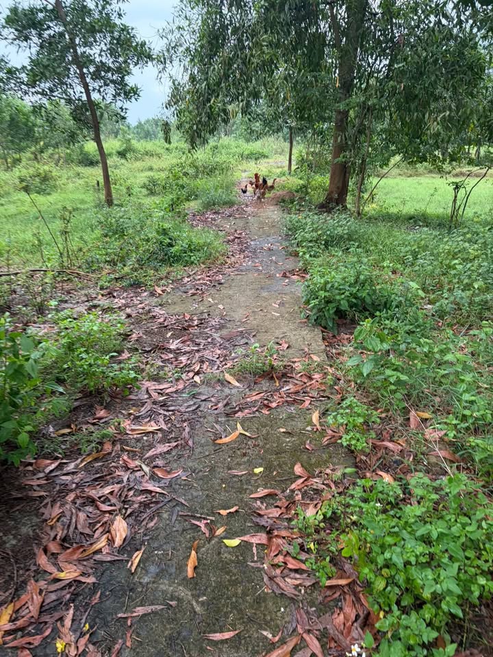 Đất nền Phú Điền, Định Quán, Đồng Nai 150m² giá 390 triệu - Sổ đỏ chính chủ!