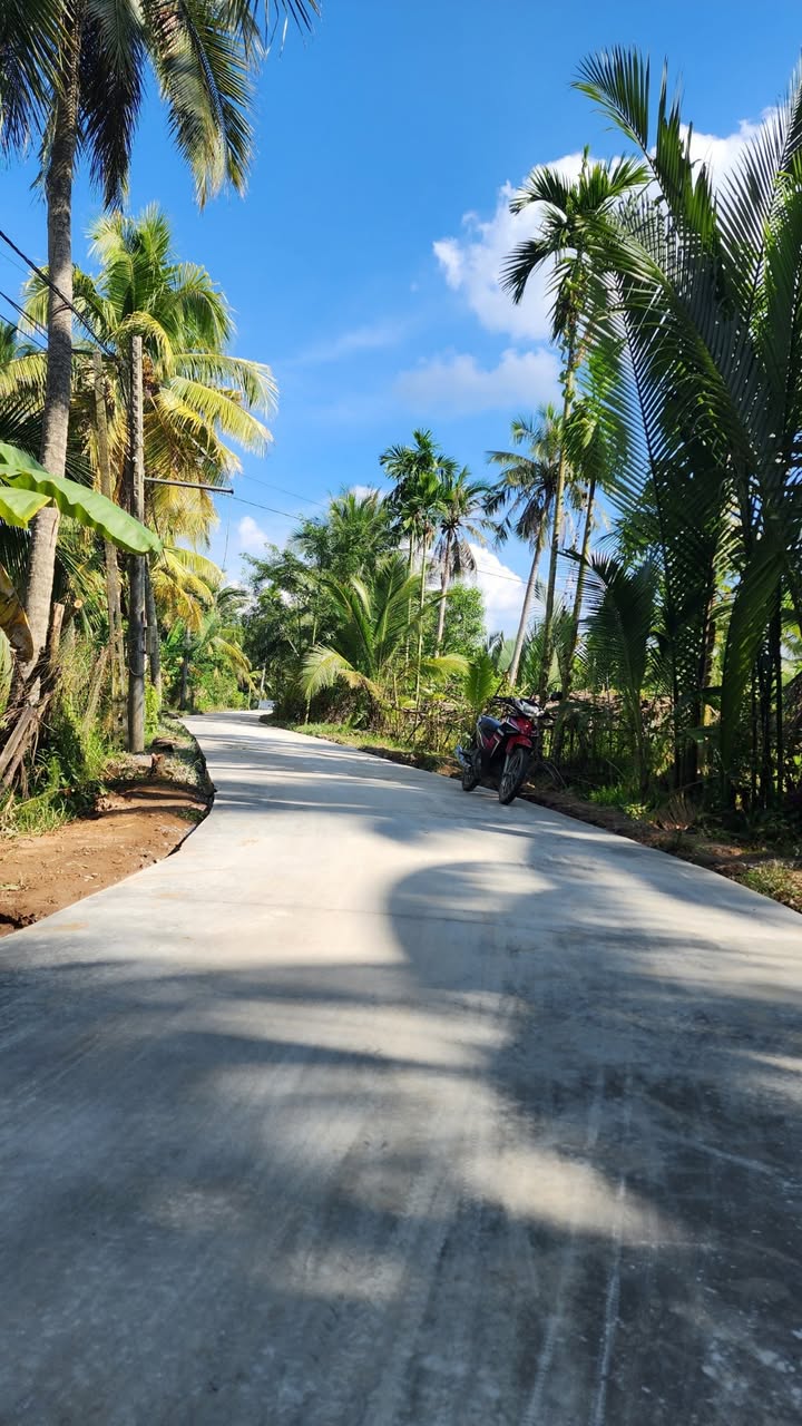 Đất nền xã Thành An, Mỏ Cày Bắc 288m² giá 480 triệu - Sổ đỏ chính chủ, ô tô tới cửa!