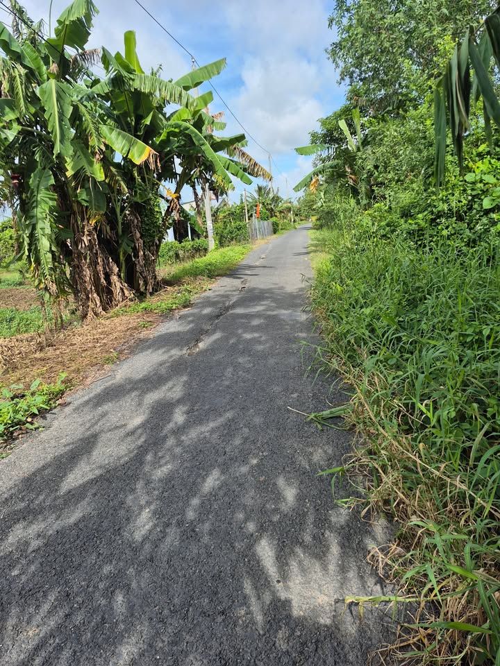 Đất Vườn Tân Nhuận Đông, Châu Thành, Đồng Tháp 2832m² - Cơ hội đầu tư hấp dẫn!