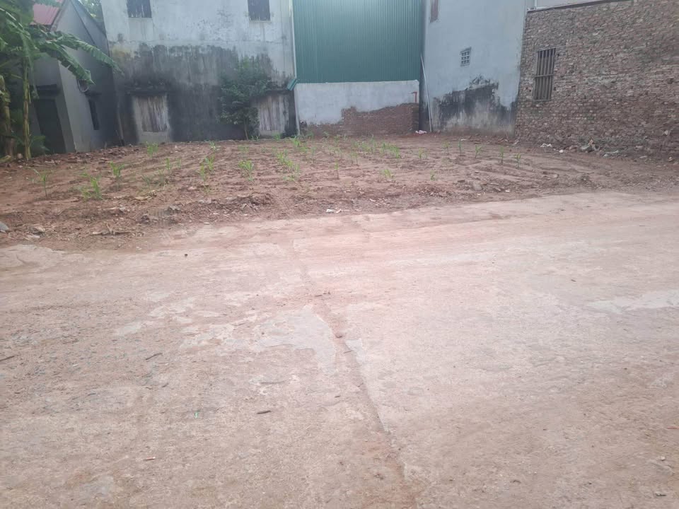 Đất nền Mão Điền, Bắc Ninh 70m² giá chỉ 1.6 tỷ - Đầu tư sinh lời ngay!