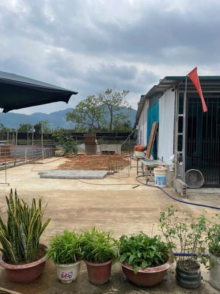 Đất nền An Tường Tuyên Quang 135m² giá 850 triệu - Pháp lý rõ ràng, sổ đỏ chính chủ!