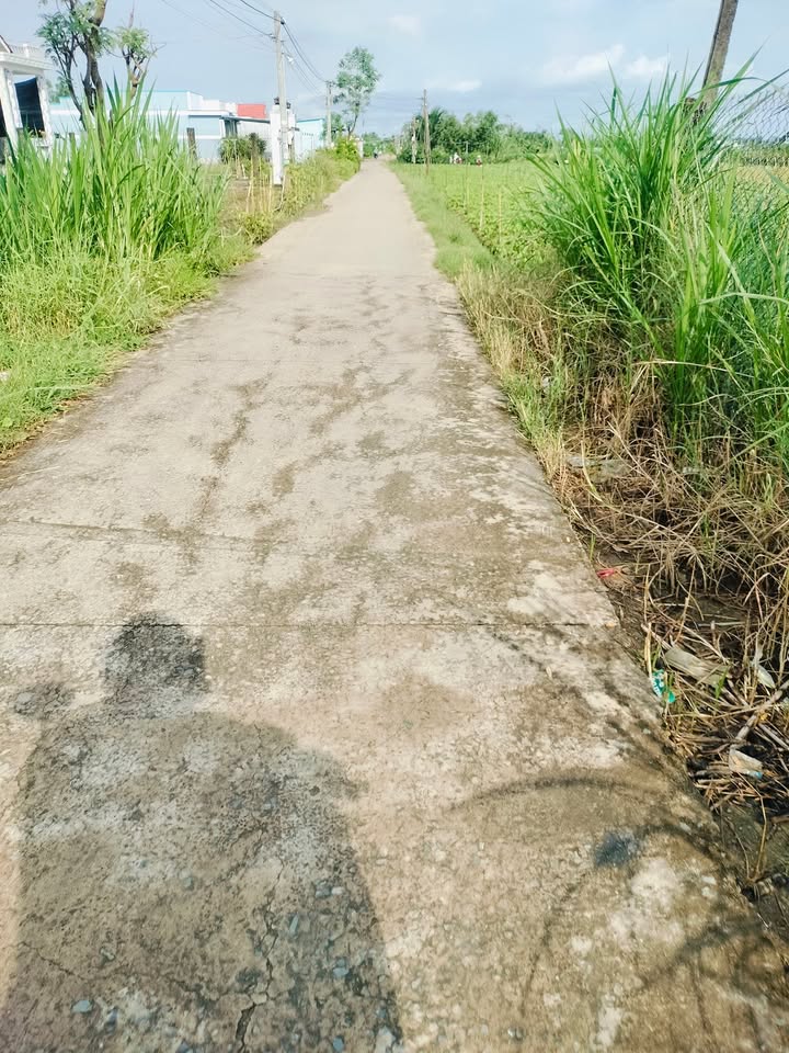 Đất nền Tân Đông, Gò Công Đông 263m² giá 400 triệu - Chính chủ bán gấp!