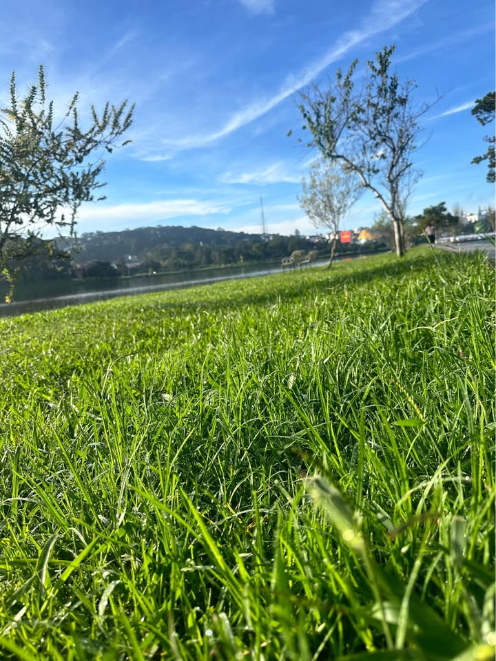 Nhà mặt tiền đường Kim Đồng, Đà Lạt 52m² giá 4.5 tỷ - Đầu tư sinh lời ngay!