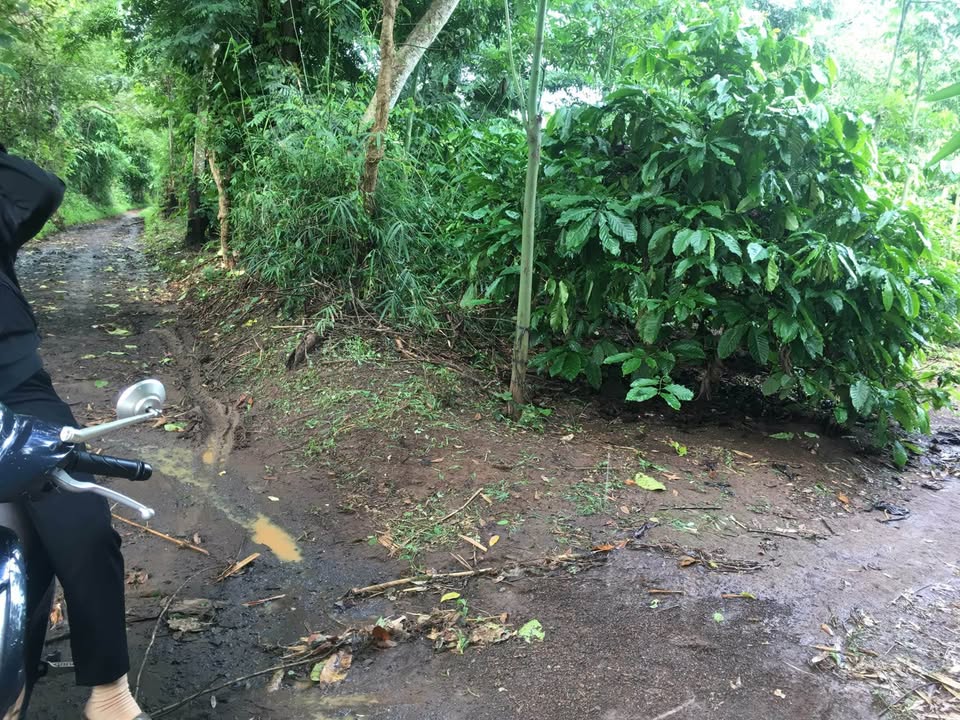 Đất nền 2.000m² phường Ea Kao, Buôn Ma Thuột - Cơ hội đầu tư giá tốt chỉ 1.9 tỷ!